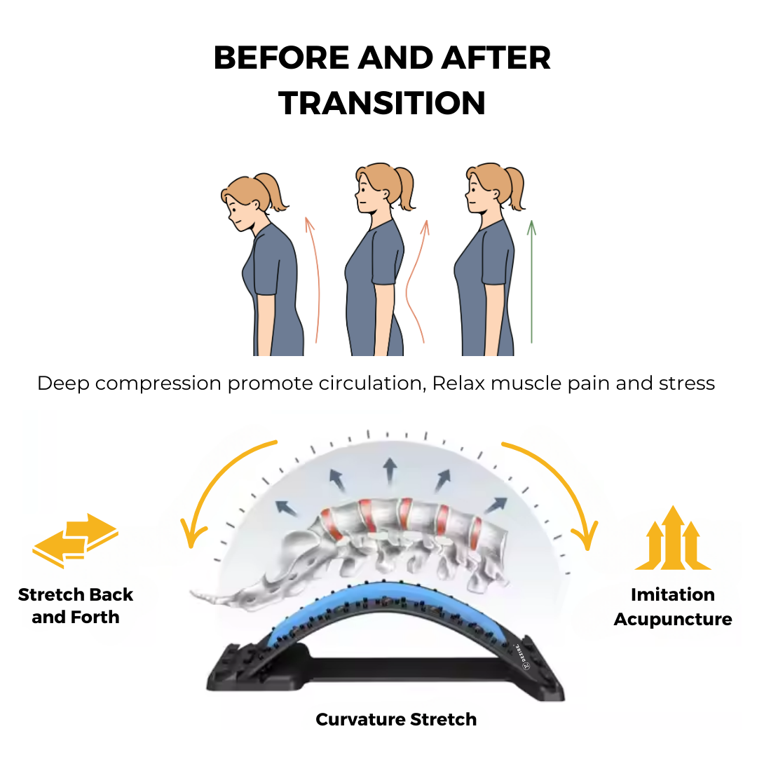 Dezire Spinal Curve | Back Relaxation Device